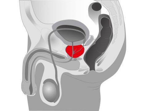 Masażer prostaty Twister You2Toys silikonowy obrotowy 21 cm - 7