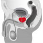 Masażer prostaty Twister You2Toys silikonowy obrotowy 21 cm - 8