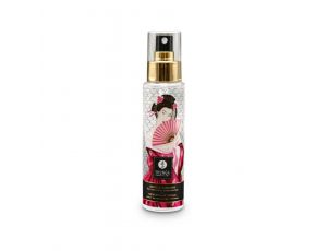 Delikatny spray czyszczący do zabawek Shunga