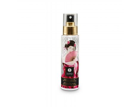 Delikatny spray czyszczący do zabawek Shunga
