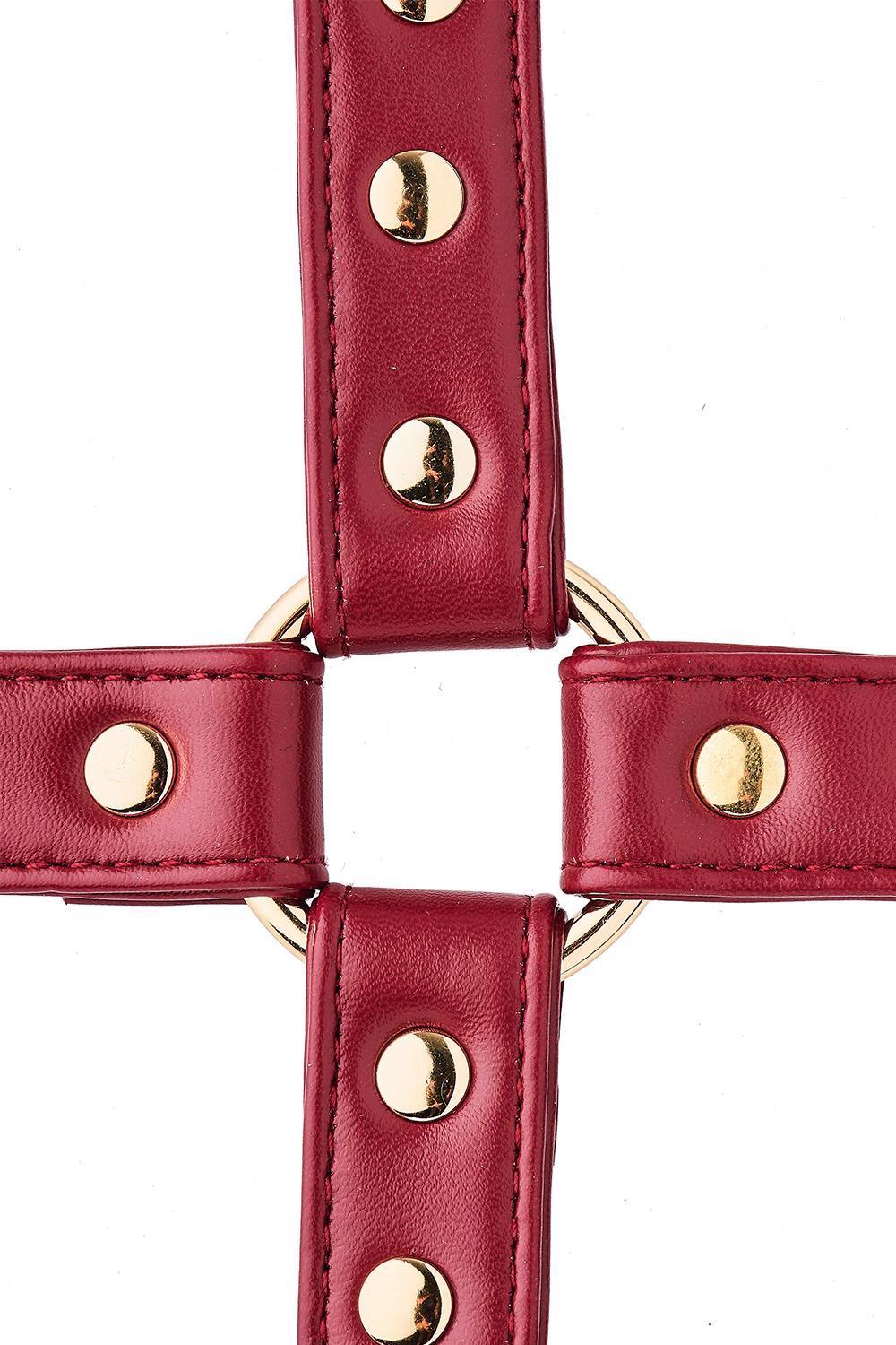 blaze elite hogtie red