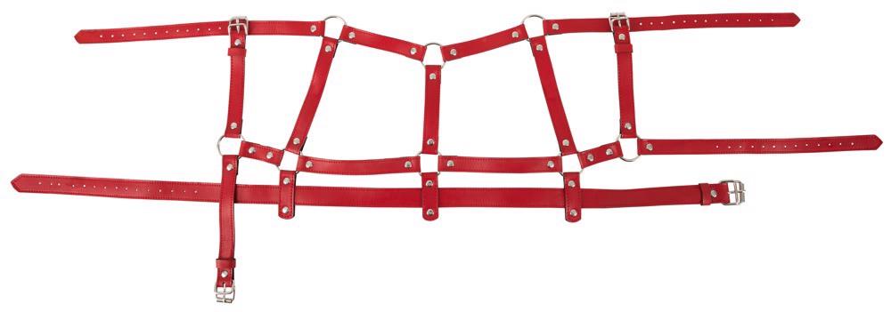 bad kitty harness set red