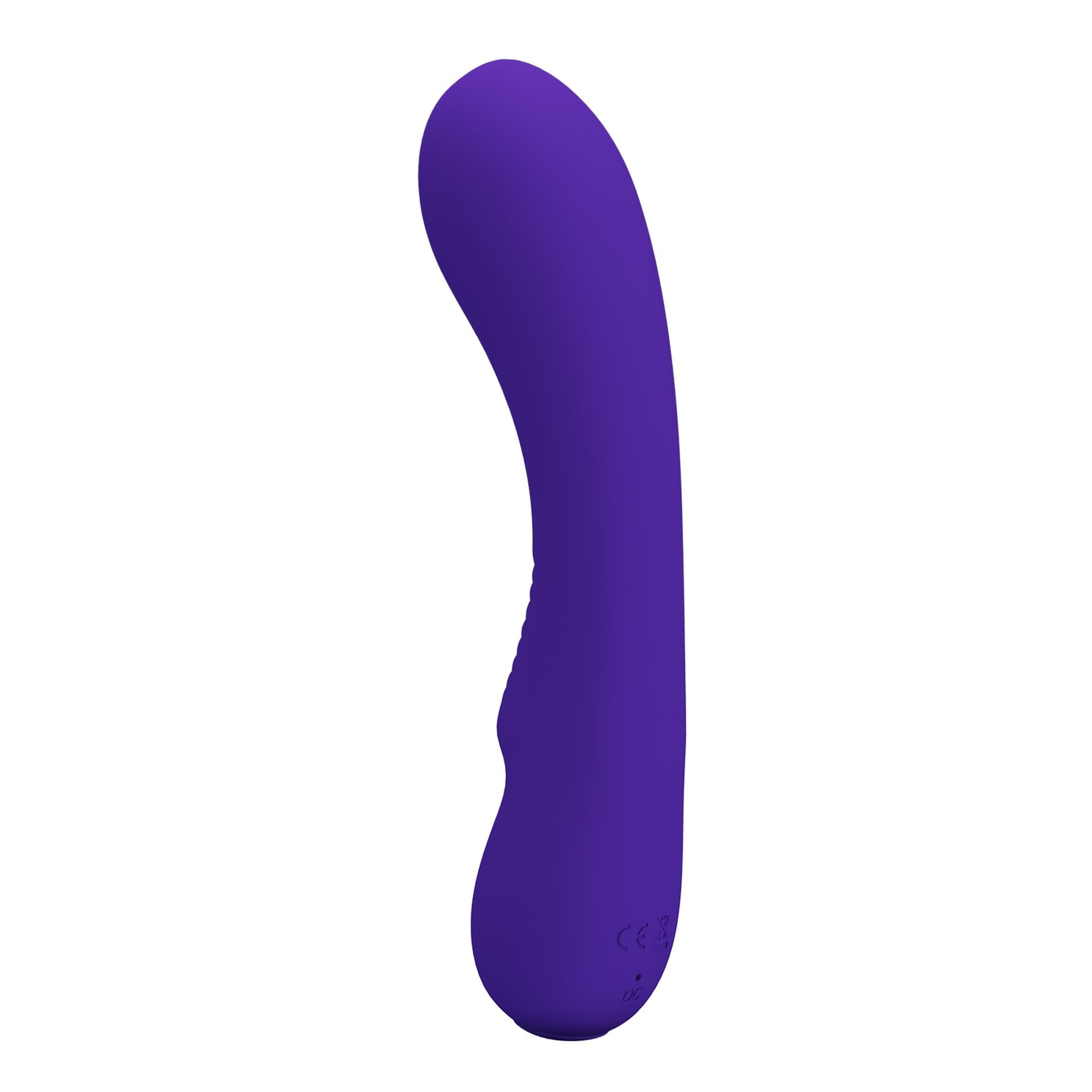 Pretty Love - Prescott Purple 12 Vibration Functions Memory Function