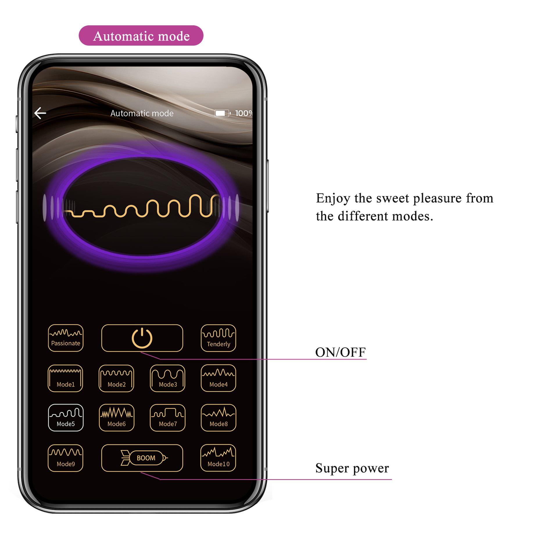 Pretty Love - Ethan Purple, 12 Vibration Functions Mobile App Long-Distance