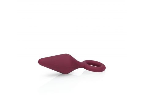 (S)explore - Toy Kit for Her - Dark Cherry - 13