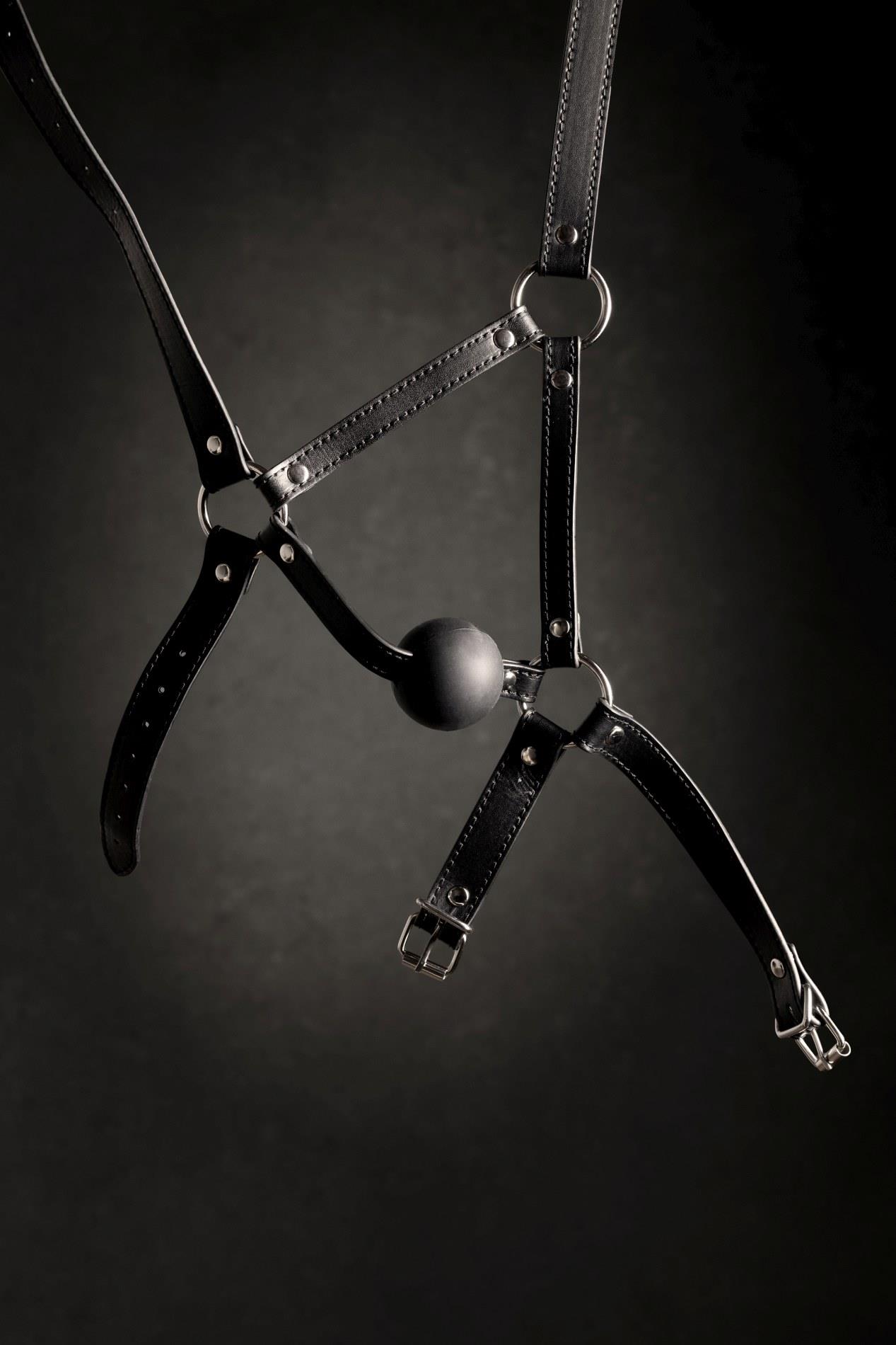 Head Harness With Solid Ball Gag - Black