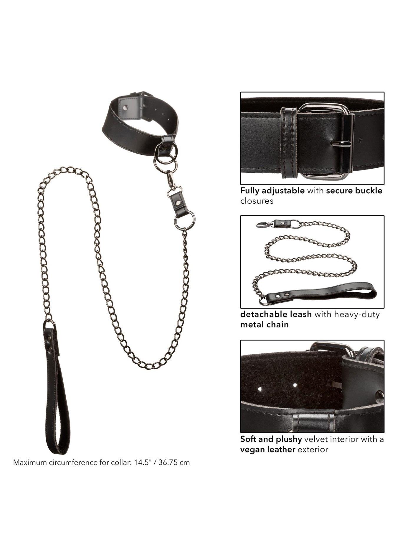 collar with chain leash black