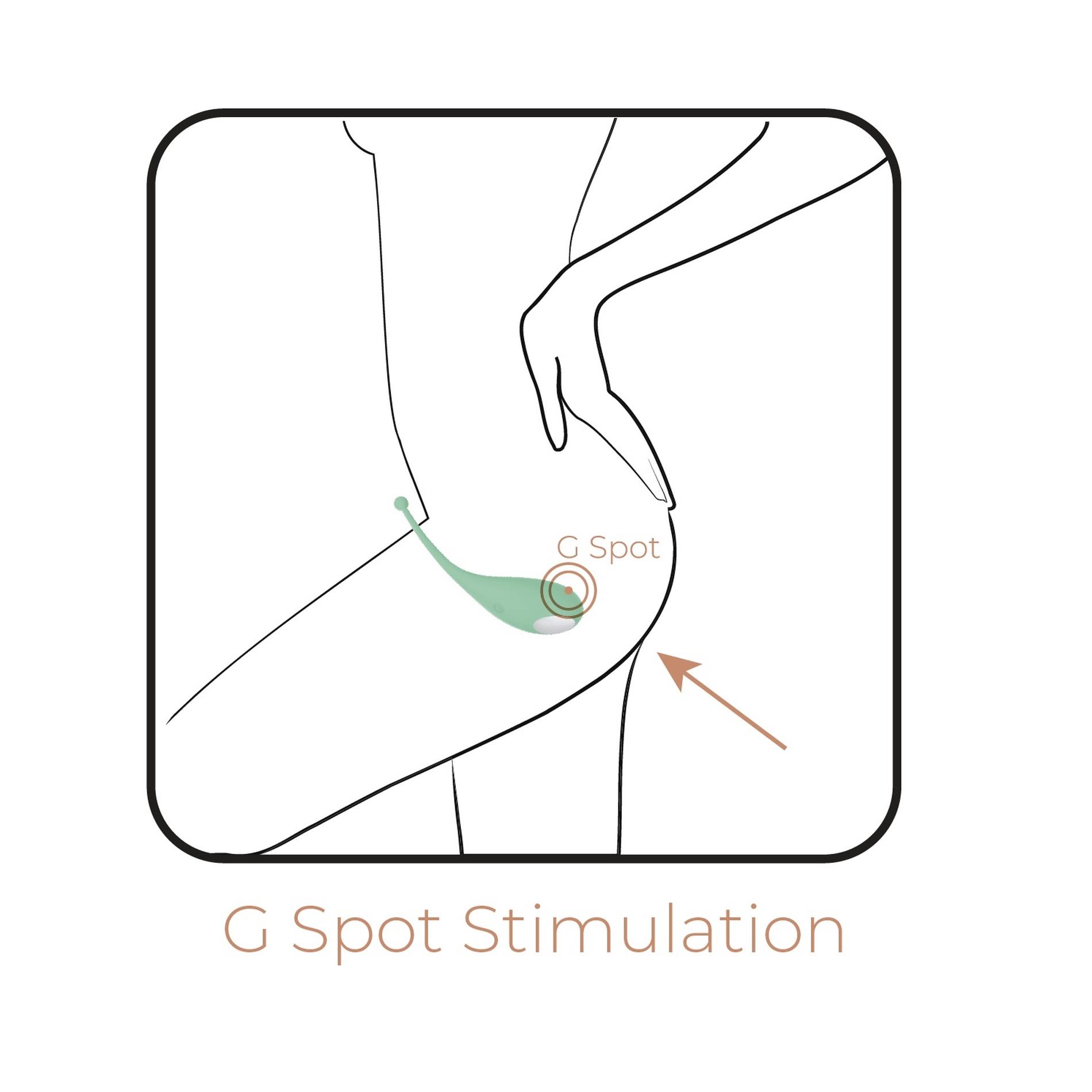 Ad.palpitation Mint (Huevo Vibrador + Cable + App)