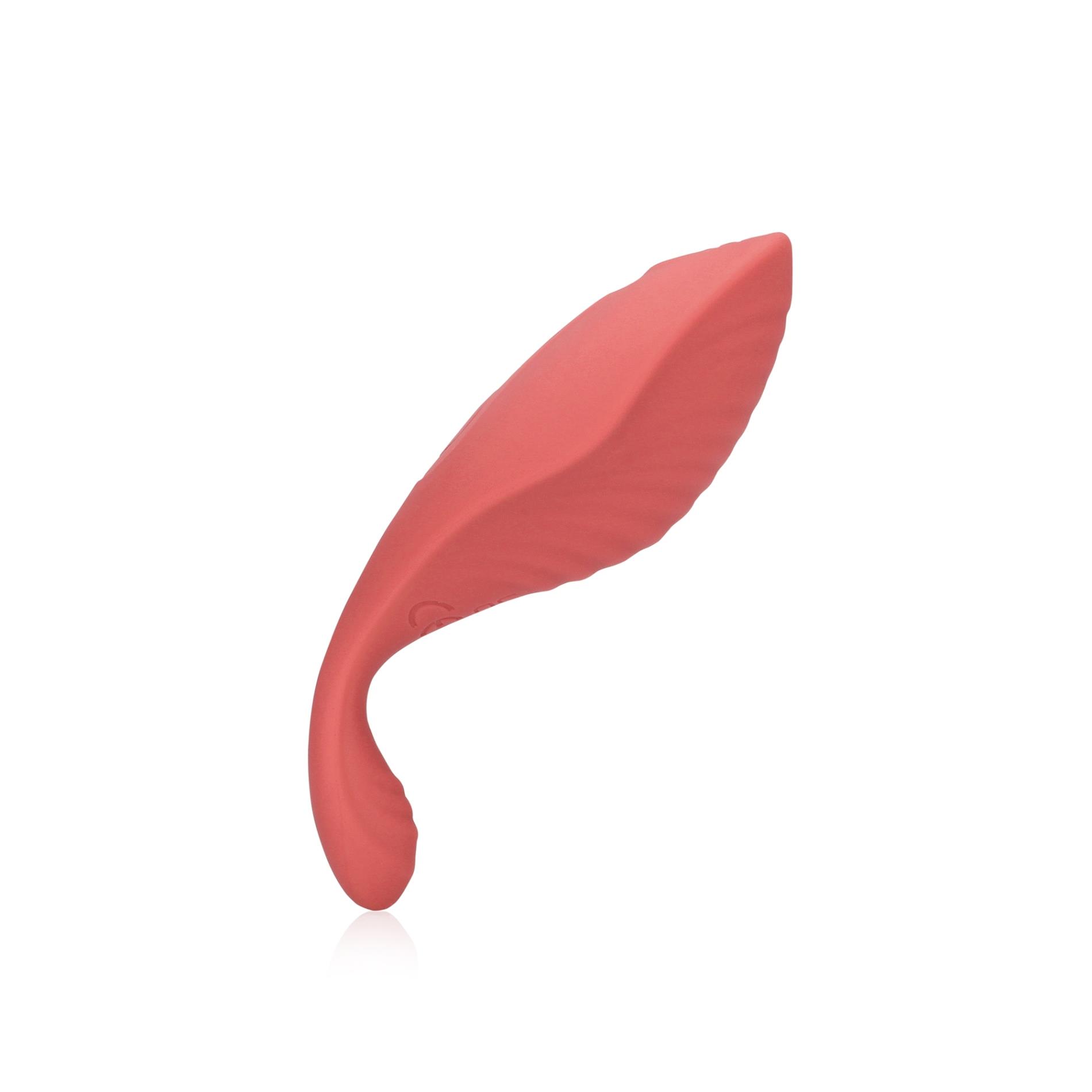 panty vibrator with remote control