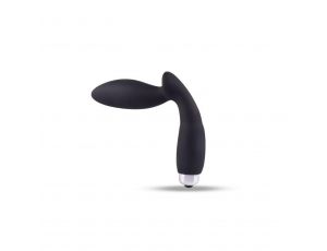 Stimolatore prostatico vibrante Toyz4Lovers classic