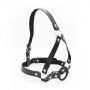 Knebel-Imbracatura per testa con anello Head Harness+Ring Gag - 4