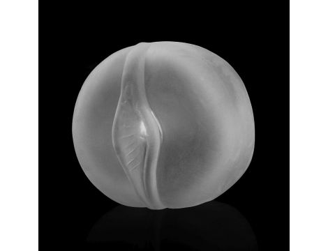 Maximizer Worx VX5 Rechargeable Pump Vagina - 2