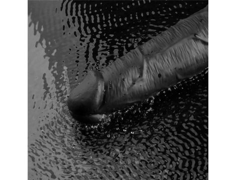 Dildo wibrujące realistyczne Lovetoy TPE czarne 27cm ładowane - 11