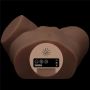 Streetgirl’s with Sensation Pulse Box - 13