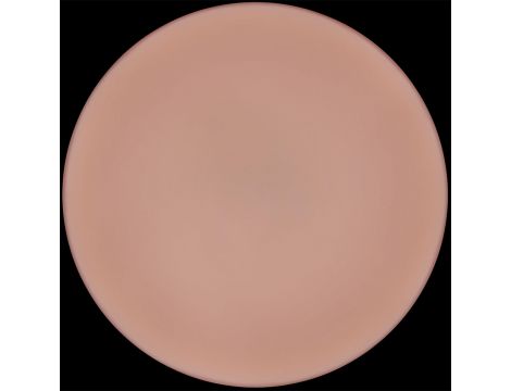 9'' Sliding Skin Pro II Dual Layer Silicone Dong - 7