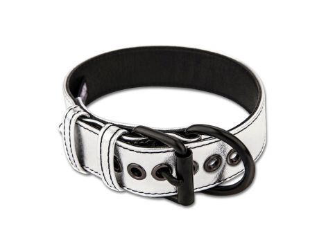 Bondage Fetish Metallic Pup Collar With Leash - 4
