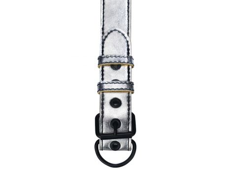 Bondage Fetish Metallic Pup Collar With Leash - 2