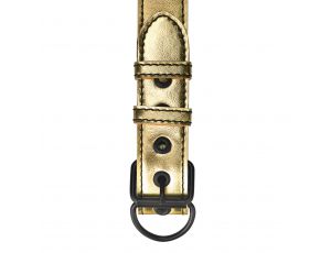 Bondage Fetish Metallic Pup Collar With Leash