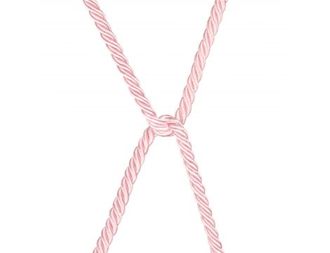 Rebellion Reign Rose Silky Bondage Rope - 9