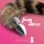 Srebrny metalowy korek analny z ogonem Crushious 6 cm
