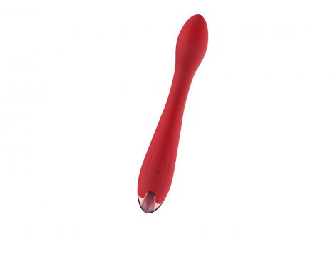 Wibrator - Rechargeable G Spot USB 10 Functions
