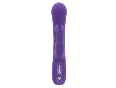 Exciting Rabbit Vibrator Purple - 10