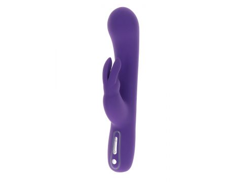 Exciting Rabbit Vibrator Purple - 2