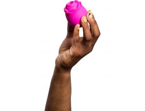 ROMP Rose - PINK