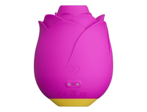 ROMP Rose - PINK - 6