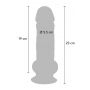 Realistyczne dildo dual density ToyJoy TPE 23 cm - 8