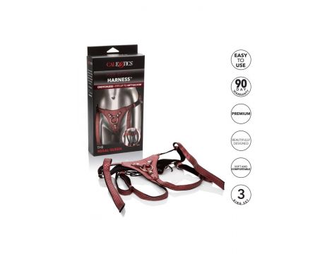 Uprząż do strap on The Regal Queen Calexotics czerwona 162 cm - 6