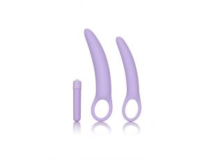 Isabelle Set of 2 Dilators Purple