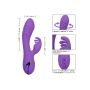 West Coast Wave Rider Purple - 6