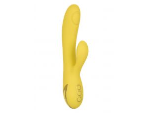 San Diego Seduction Yellow