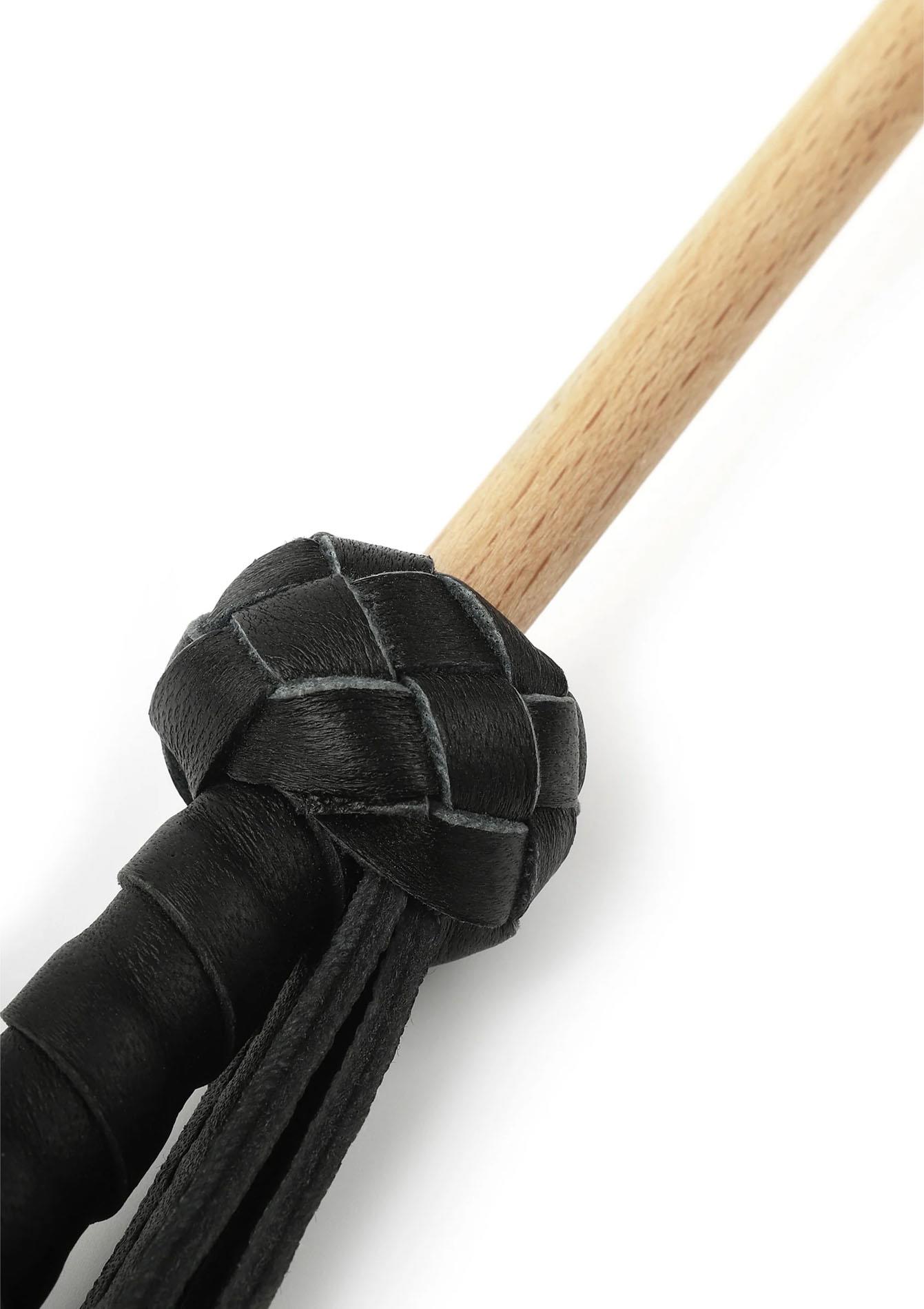 The Obedience Cane