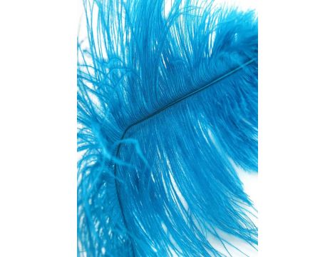 Double Feather Tickler Blue - 5