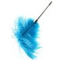 Double Feather Tickler Blue - 5