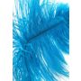 Double Feather Tickler Blue - 6