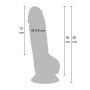 Realistic Dildo PVC 18 cm - 8
