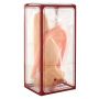 Buttplug Plus Pump Light skin tone - 2