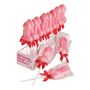 Willie Lollipop Display 24 Pcs Pink - 2