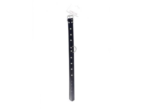 Fetish B - Series Collar with studs 3 cm