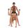 WHIPSMART BODY SWING BLACK