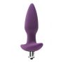 FLIRTS 10 FUNCTIONS VIBRATING PLUG PURPLE - 4