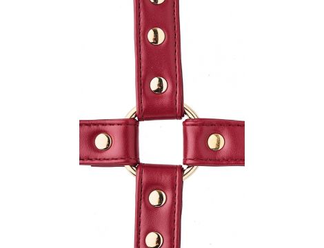 BLAZE ELITE HOGTIE RED - 5