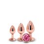 REAR ASSETS TRAINER KIT ROSE GOLD PINK - 2