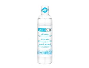 Żel chłodzący Waterglide 300 ml na bazie wody