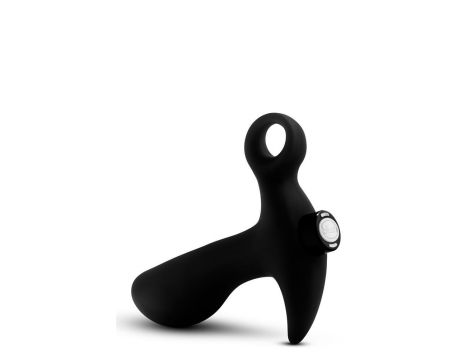 ANAL ADVENTURES PROSTATE MASSAGER 01 - 5