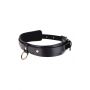 SEX AND MISCHIEF ORBIT DAY COLLAR - 3