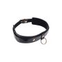 SEX AND MISCHIEF ORBIT DAY COLLAR - 5